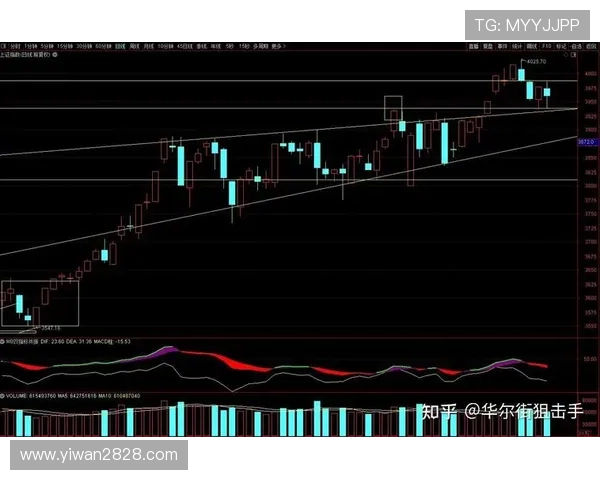 财经2频道直播最新股市行情分析